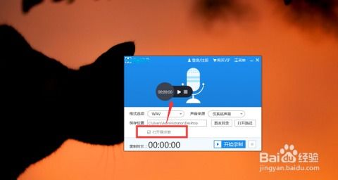 录音软件 如何录制wav音频