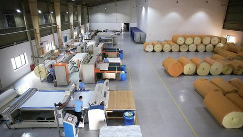 携手共进，共享发展机遇——海马牌及轩琴居越南生产工厂开放日录音制作纪实