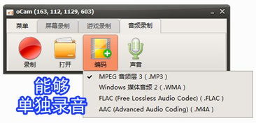 录屏小将 ocam 全能录屏、截图与录音的得力助手