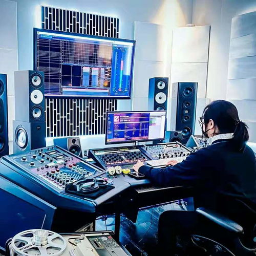 Artnovion案例赏析 2021年2月录音制作中的声学艺术应用