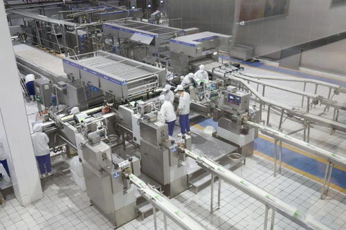 河北电视台《冀有好物》摄制组赴大名县录制专刊